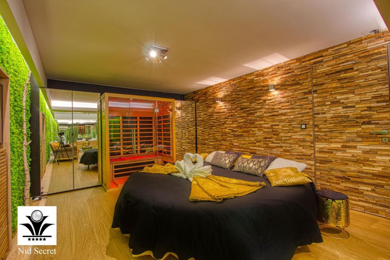 Panoramique 180 Lac Et Montagne Et Nid Secret Spa Romantique Annecy Eksteriør billede