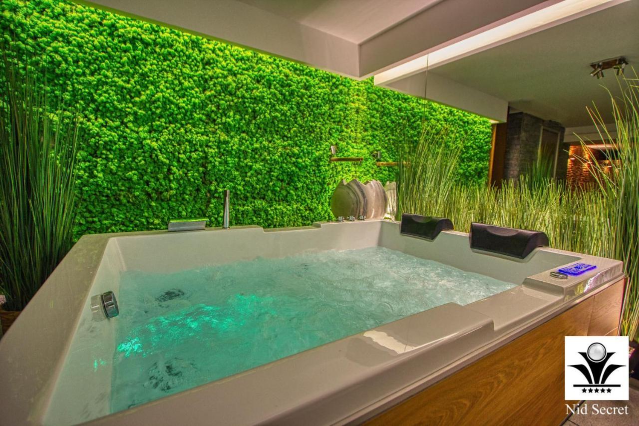 Panoramique 180 Lac Et Montagne Et Nid Secret Spa Romantique Annecy Eksteriør billede